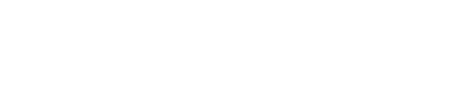 Nugget Company
